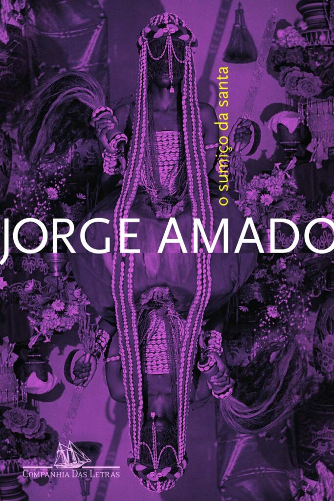 Capa de O Sumiço da Santa
