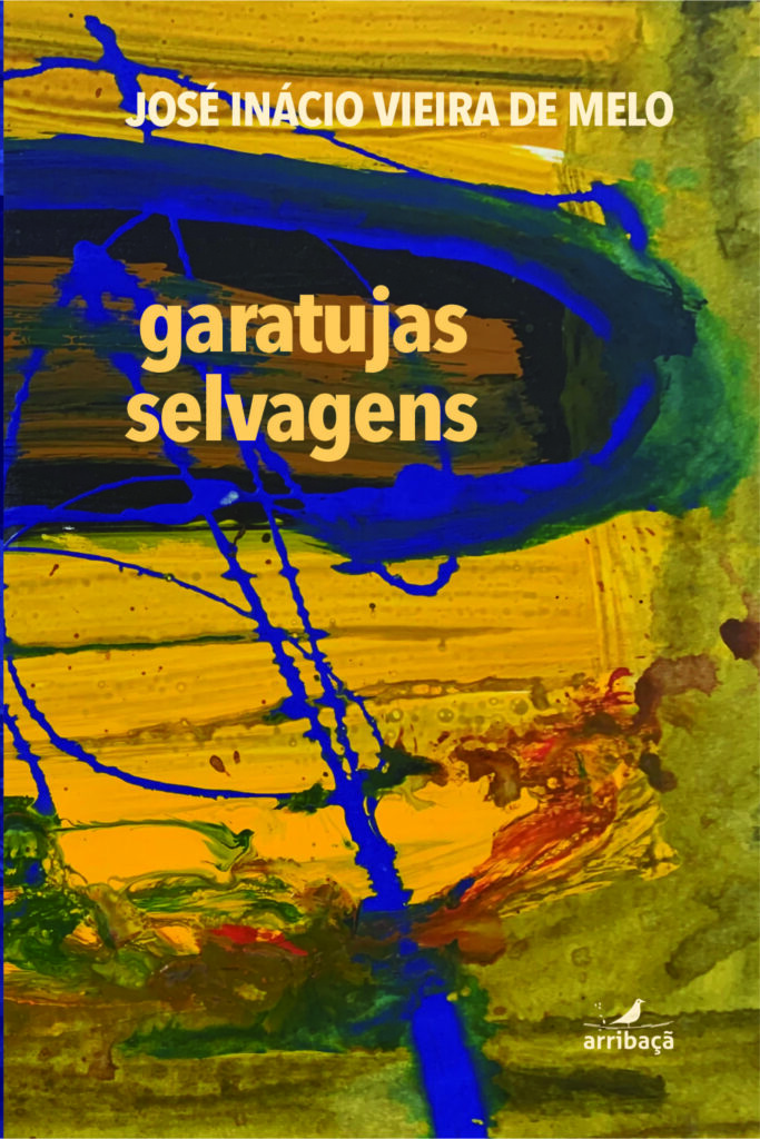 Capa de Garatujas Selvagens